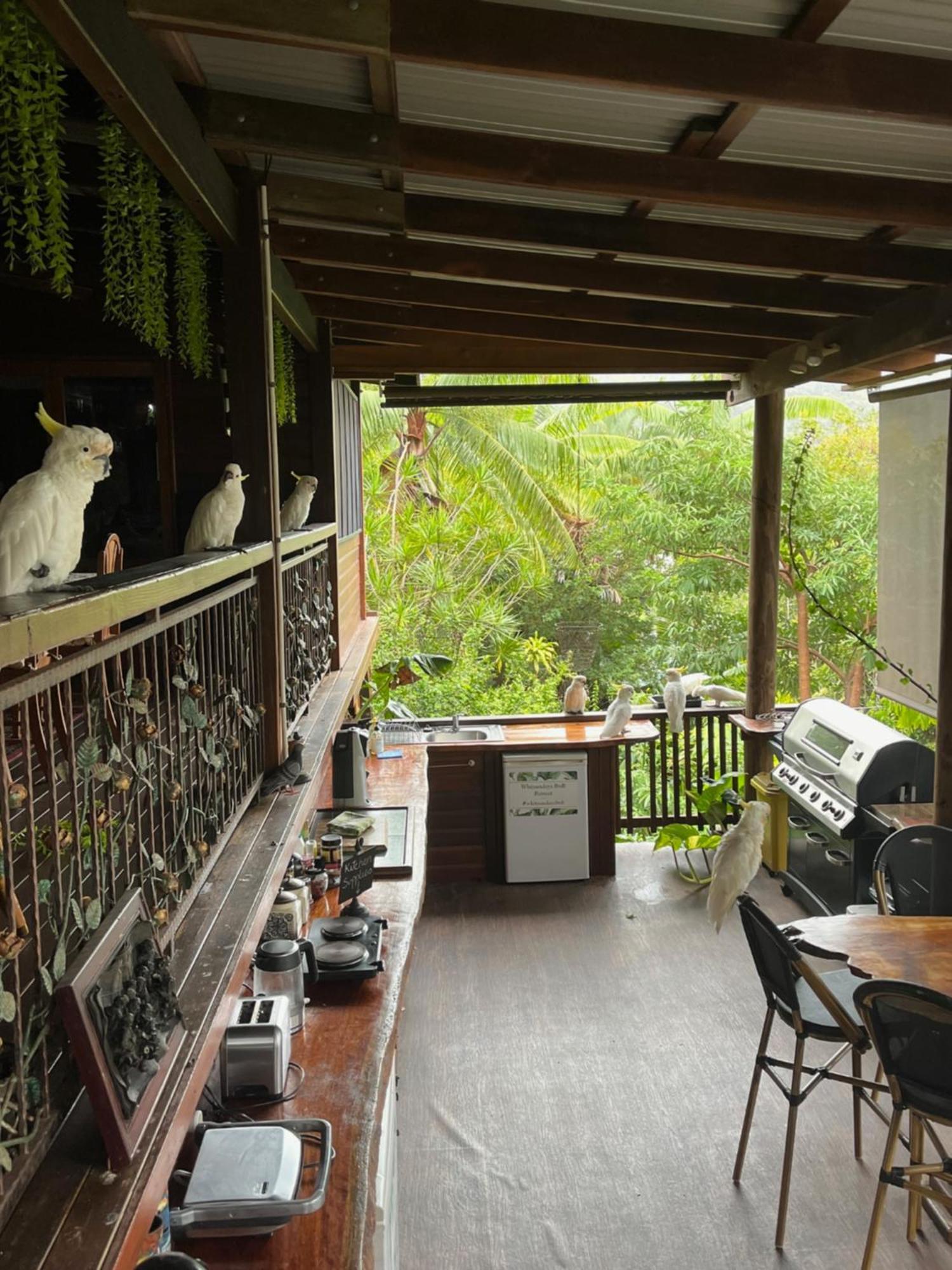 Whitsundays Bnb Retreat Airlie Beach Extérieur photo