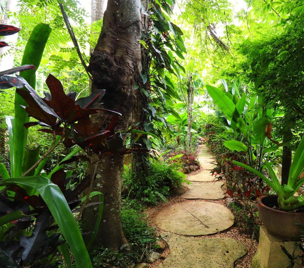 Whitsundays Bnb Retreat Airlie Beach Extérieur photo